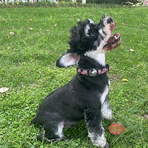 Miniatura 5 de MR.CHUBBYFACE Airtag - Collar de perro para el 4 de julio con soporte para Airtag de Apple para perros pequeños, medianos y grandes