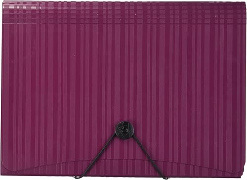 Esselte Archivo expansible de polietileno de 7 bolsillos (3452-4405)