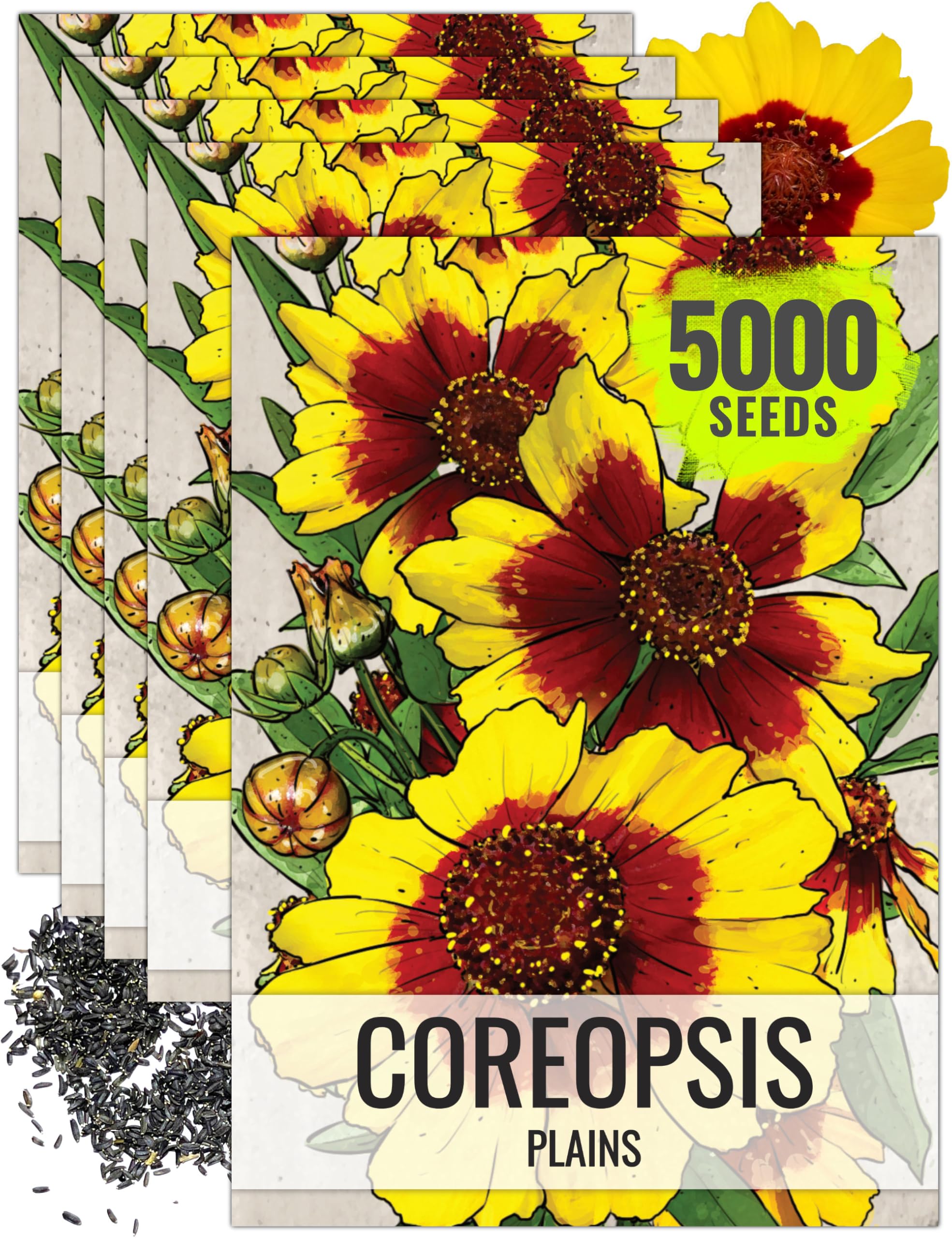 Seed Needs Coreopsis Plains Seeds