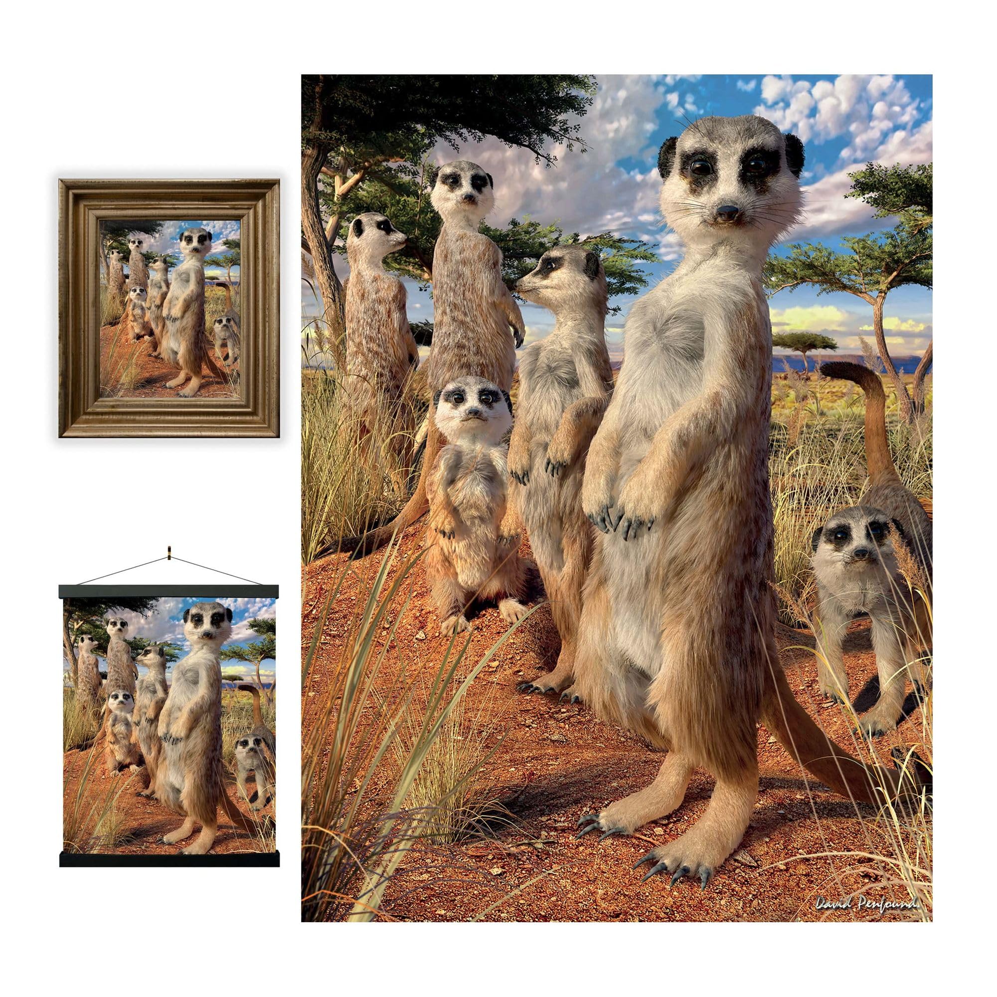3D LiveLife Lenticular Pictures - Meerkat Gaze from Deluxebase. A3 Unframed Deep 3D Effect Animal Wall Art for Living Room, Bedroom or Kitchen. Unique Meerkat Print Poster for Home Decor.