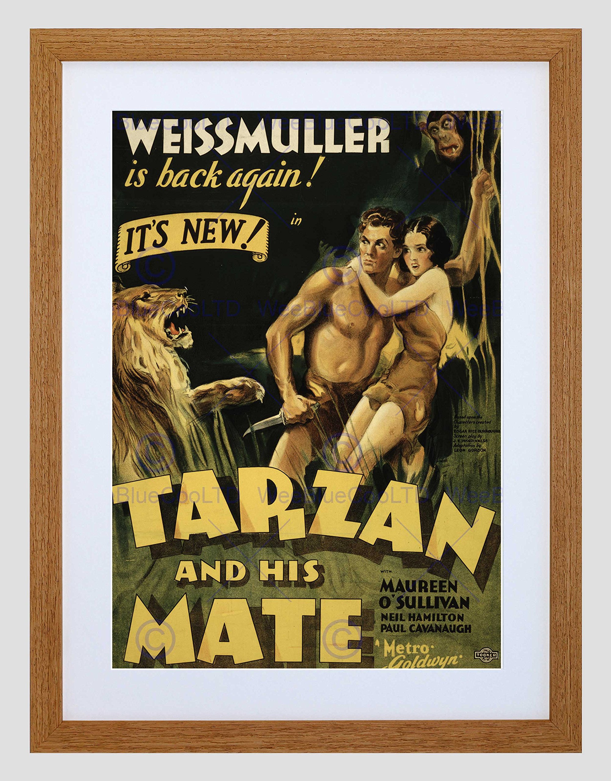 Wee Blue Coo Ad Movie Film Tarzan Mate Jane Weissmuller Jungle Lion Framed Wall Art Print
