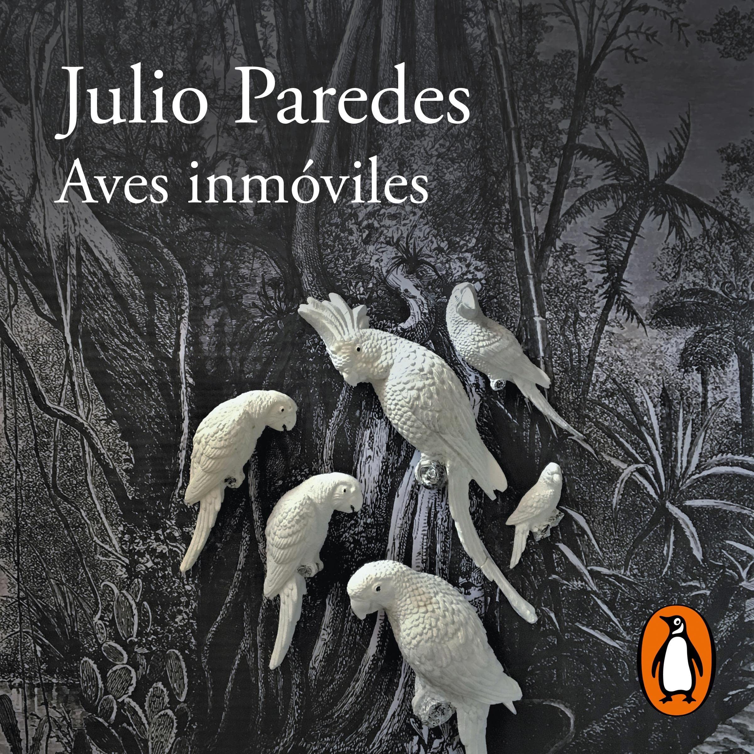 Aves inmoviles [Motionless Birds]