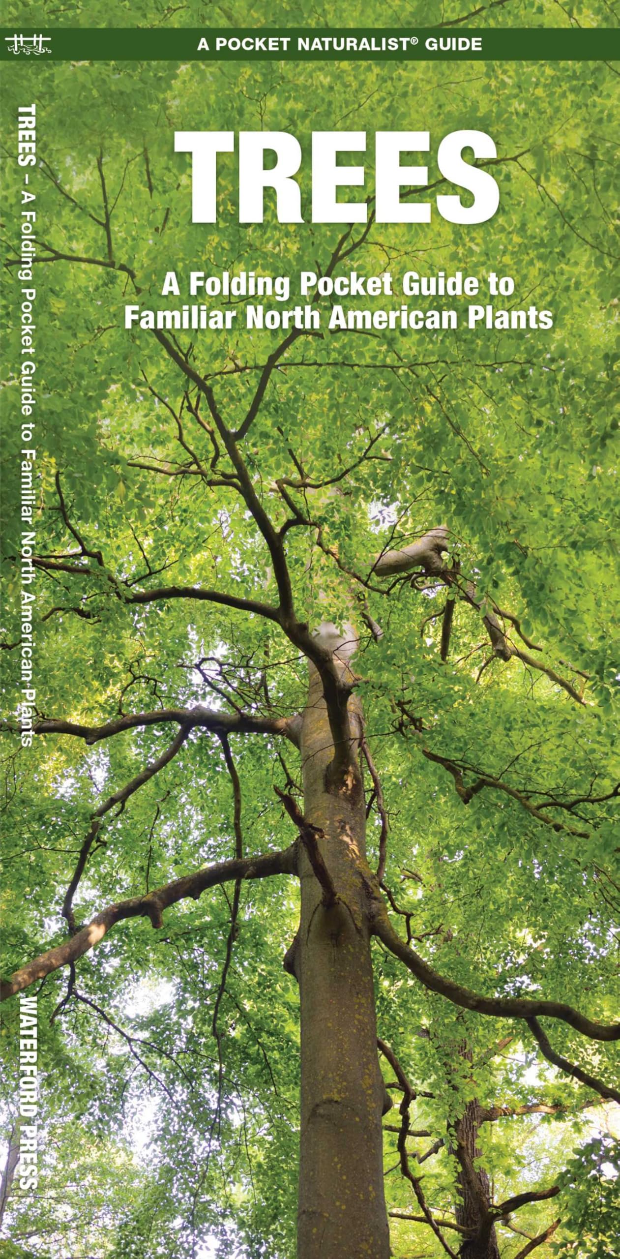 Trees (Nature Observation North America) Pamphlet – March 1, 2002
