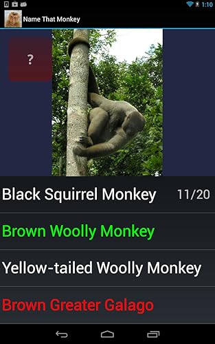 Macaco espécie Trivia Quiz