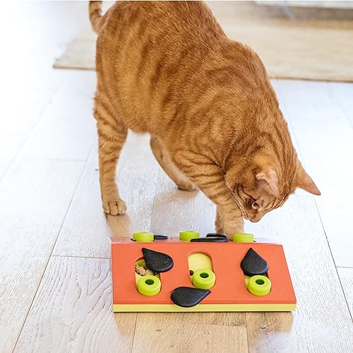 Miniatura 8 de Catstages de Nina Ottosson Melon Madness Puzzle & Play – Alimentador interactivo de rompecabezas con premios para gatos, 12 compartimentos ocultos,
