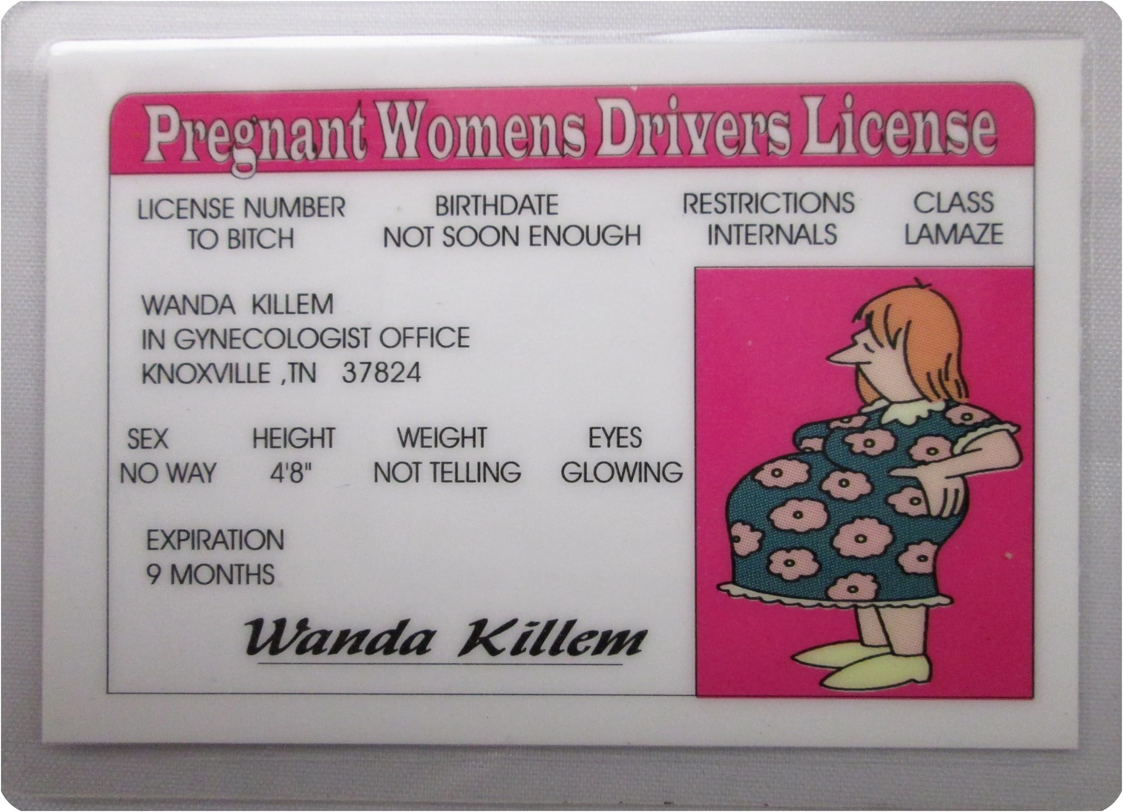 Pregnant Womens Novelty Drivers License