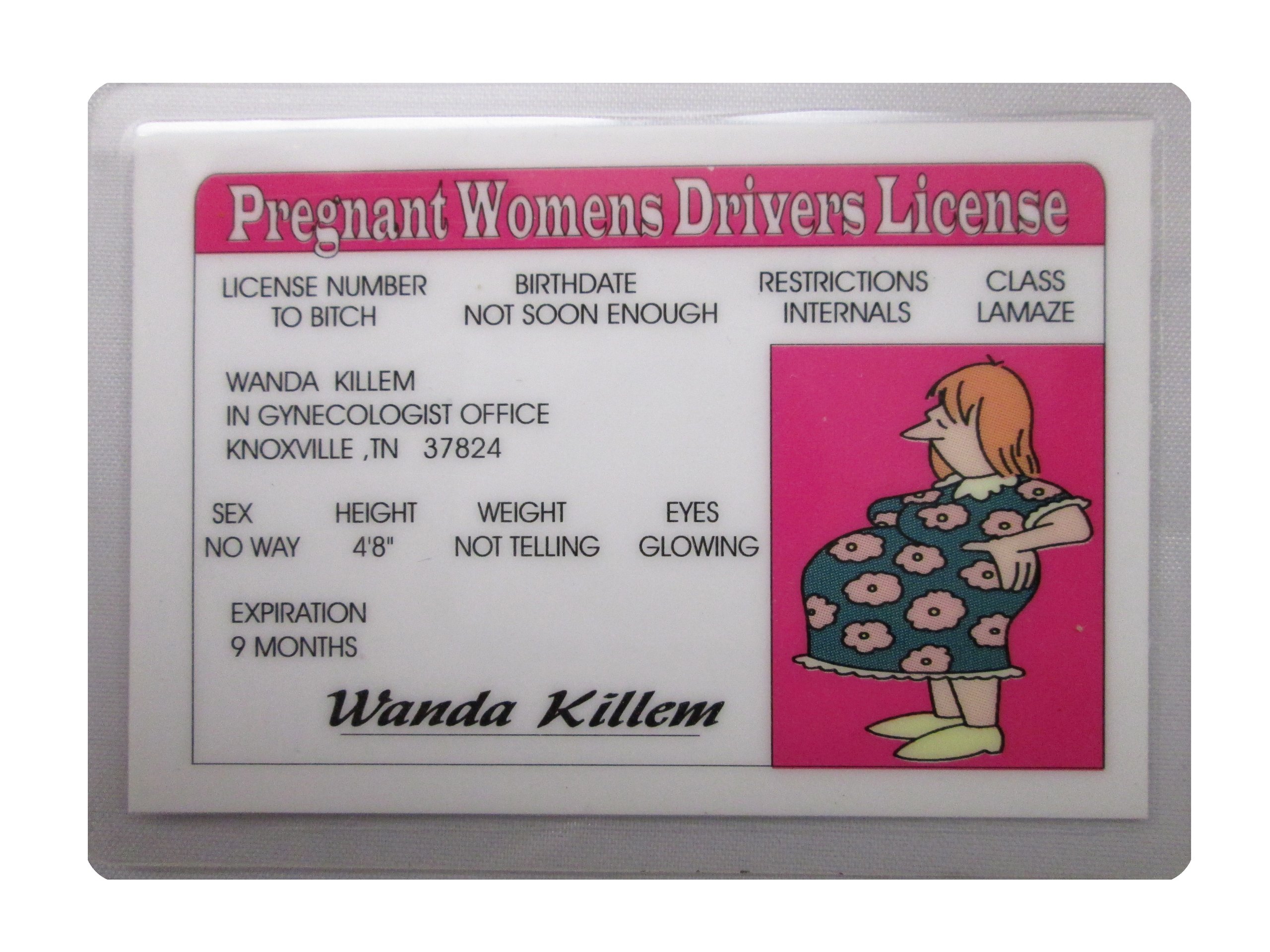 Pregnant Womens Novelty Drivers License