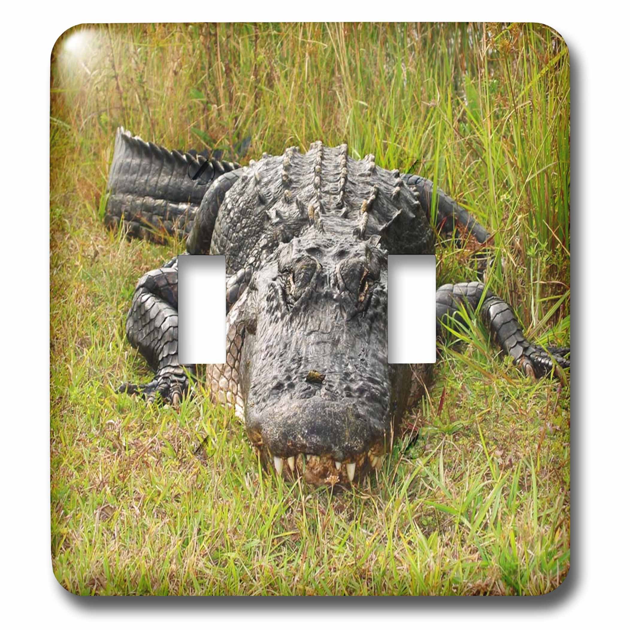 Interrupteur double Gator Floride 3dRose finition soignee pour salon