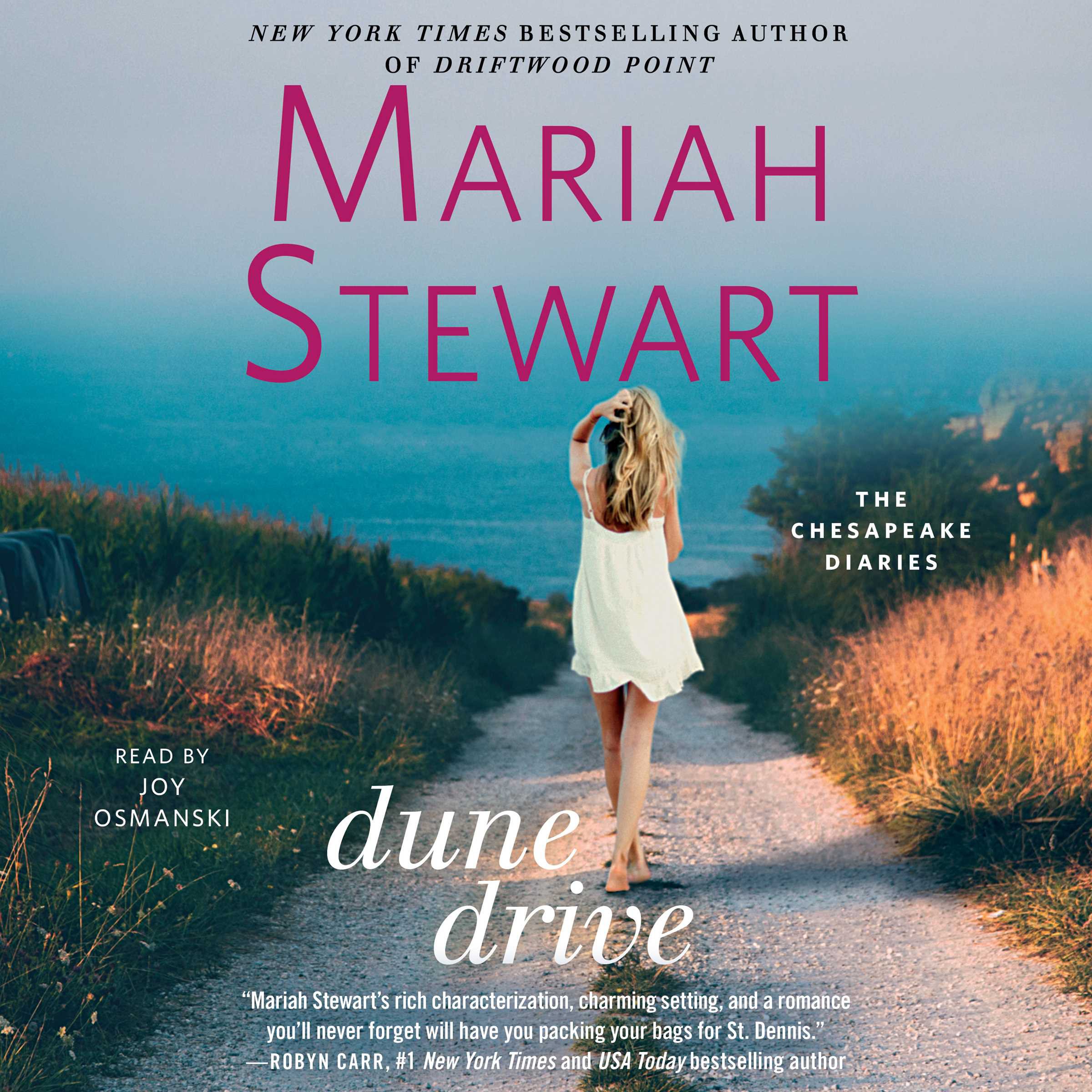 Cover art for Dune Drive
