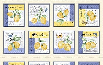 Michael Miller Citrus Panel