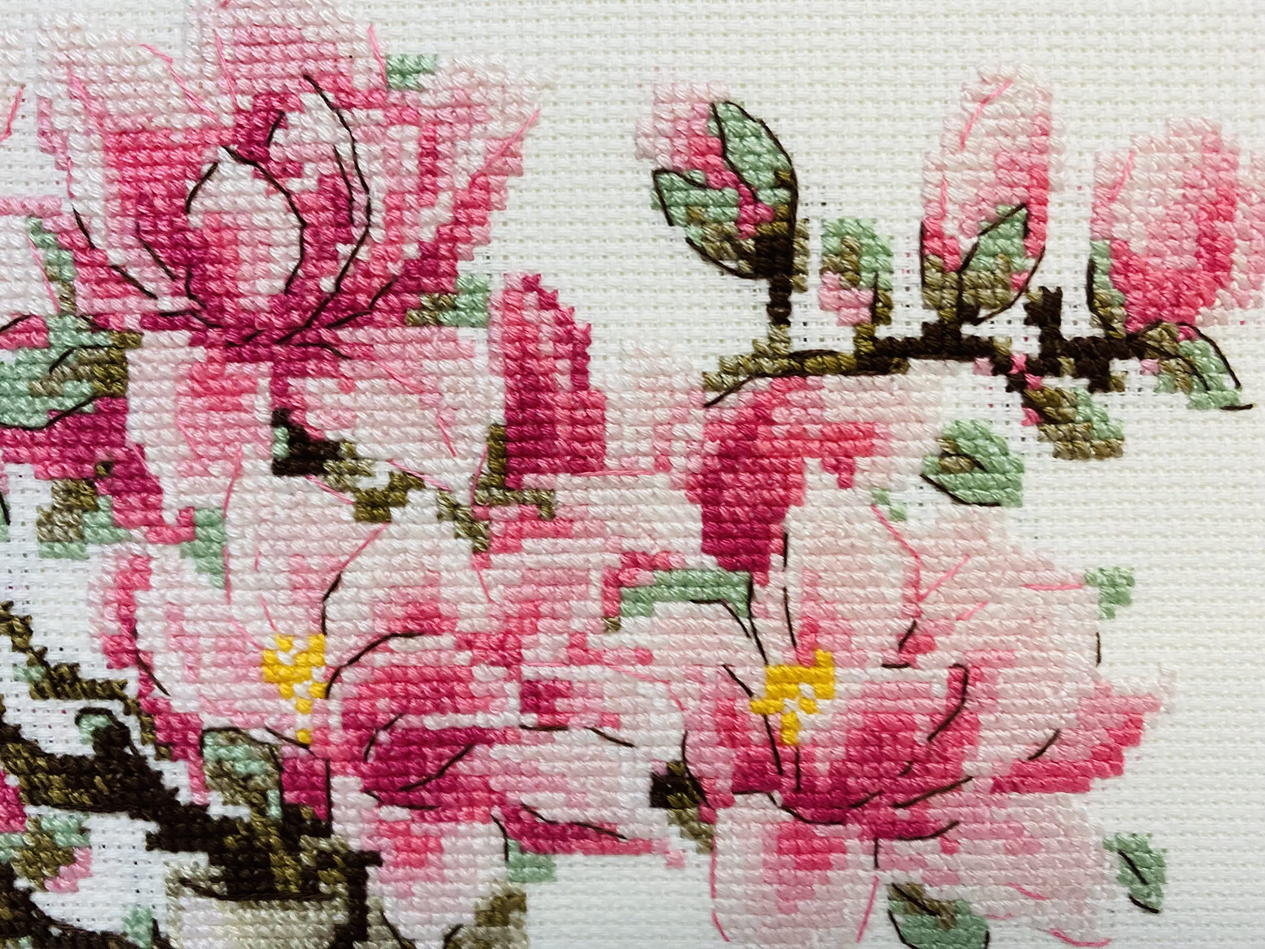 Kit Point De Croix Riolis Magnolia Du Sud 30x24 Cm – Broderie Compte-Fils Magnifique, 11 Couleurs