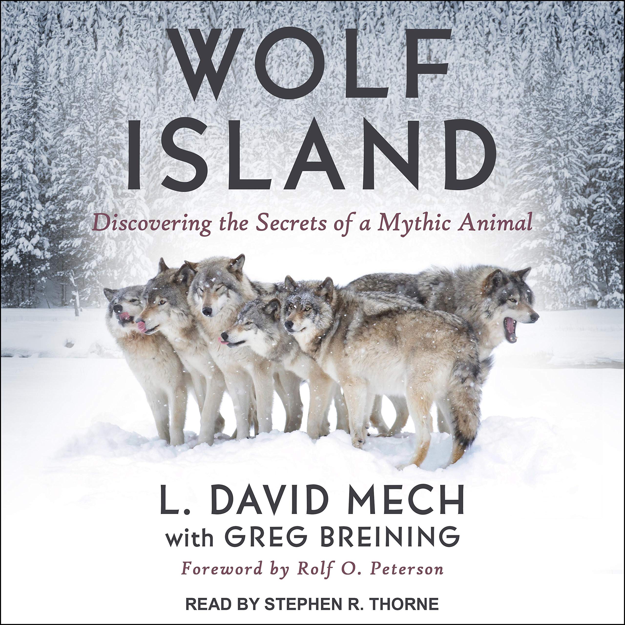 Cover art for Wolf Island