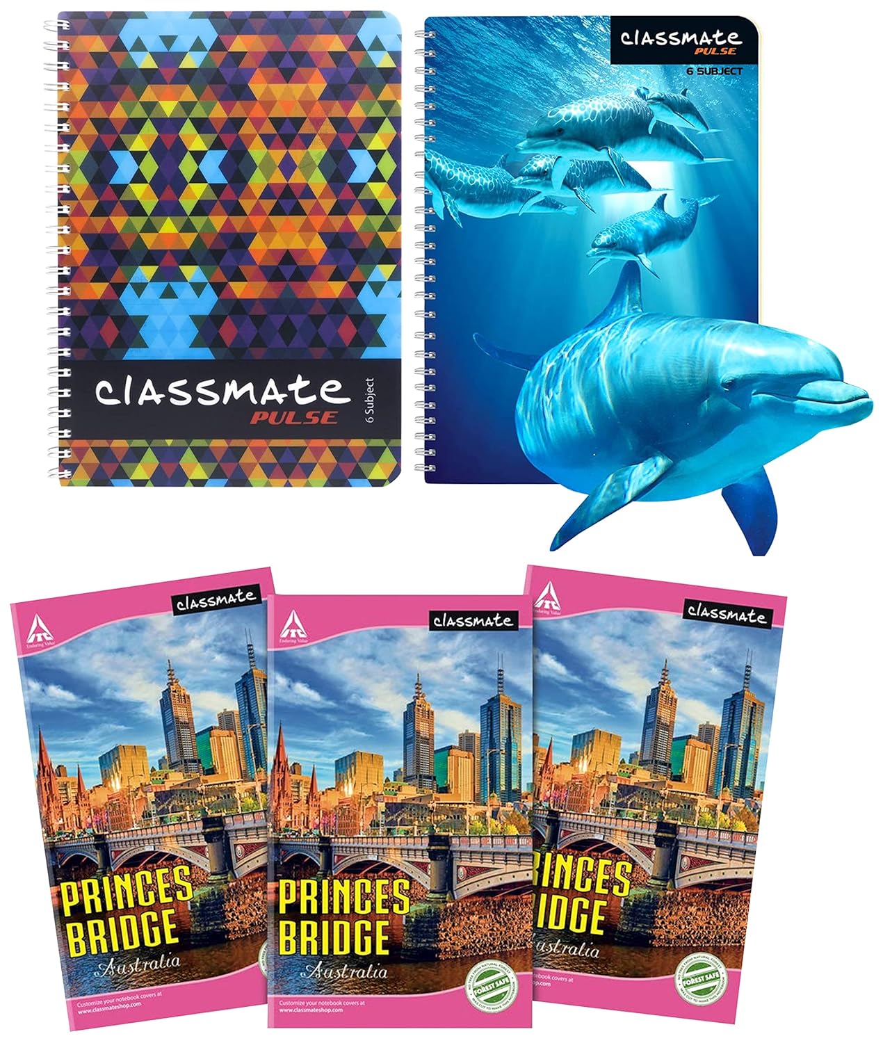 Classmate Soft Cover 6 Subject Spiral Binding Notebook, Unruled, 300