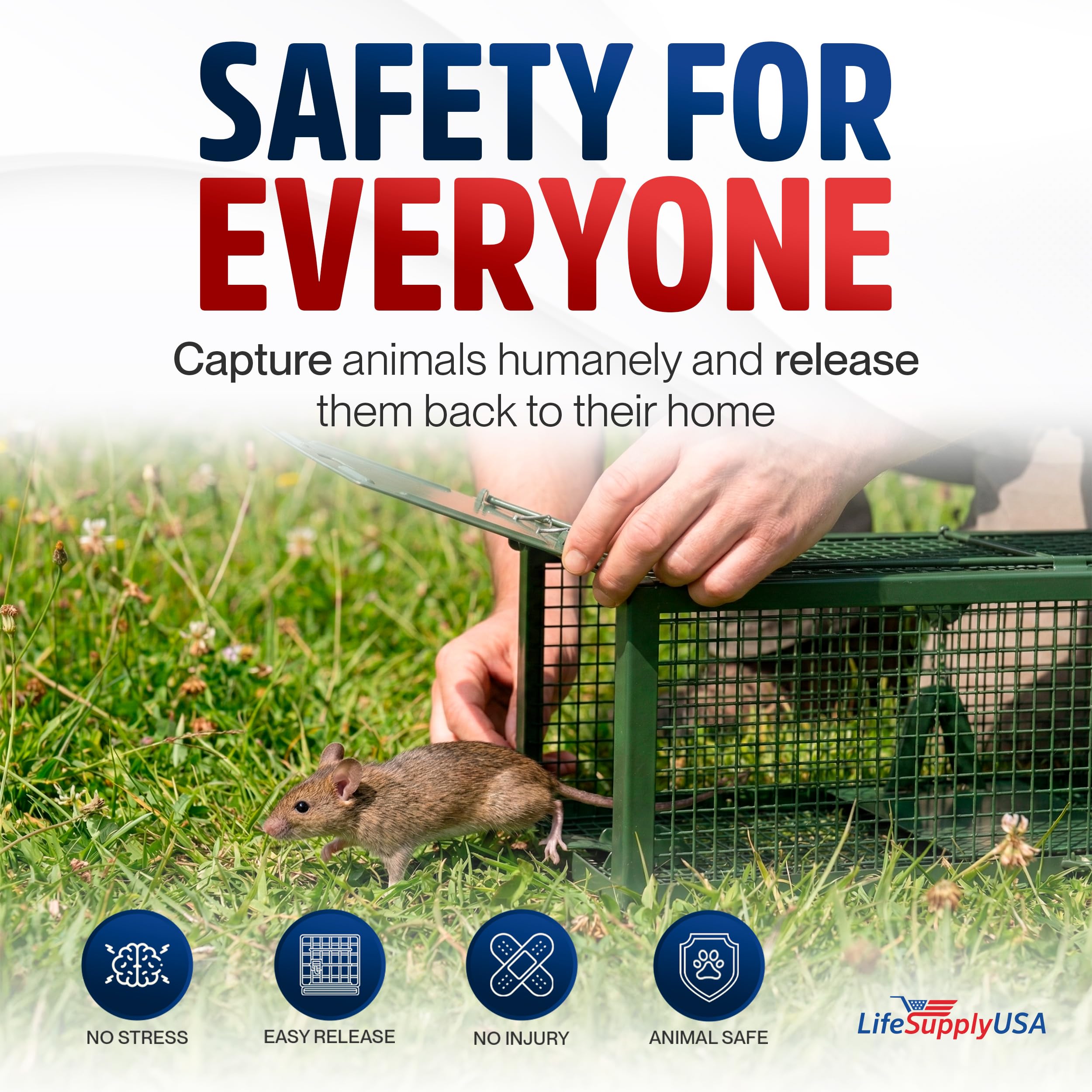 Heavy Duty Live Humane Animal Cage Trap for Catch & Release (Multiple Sizes)