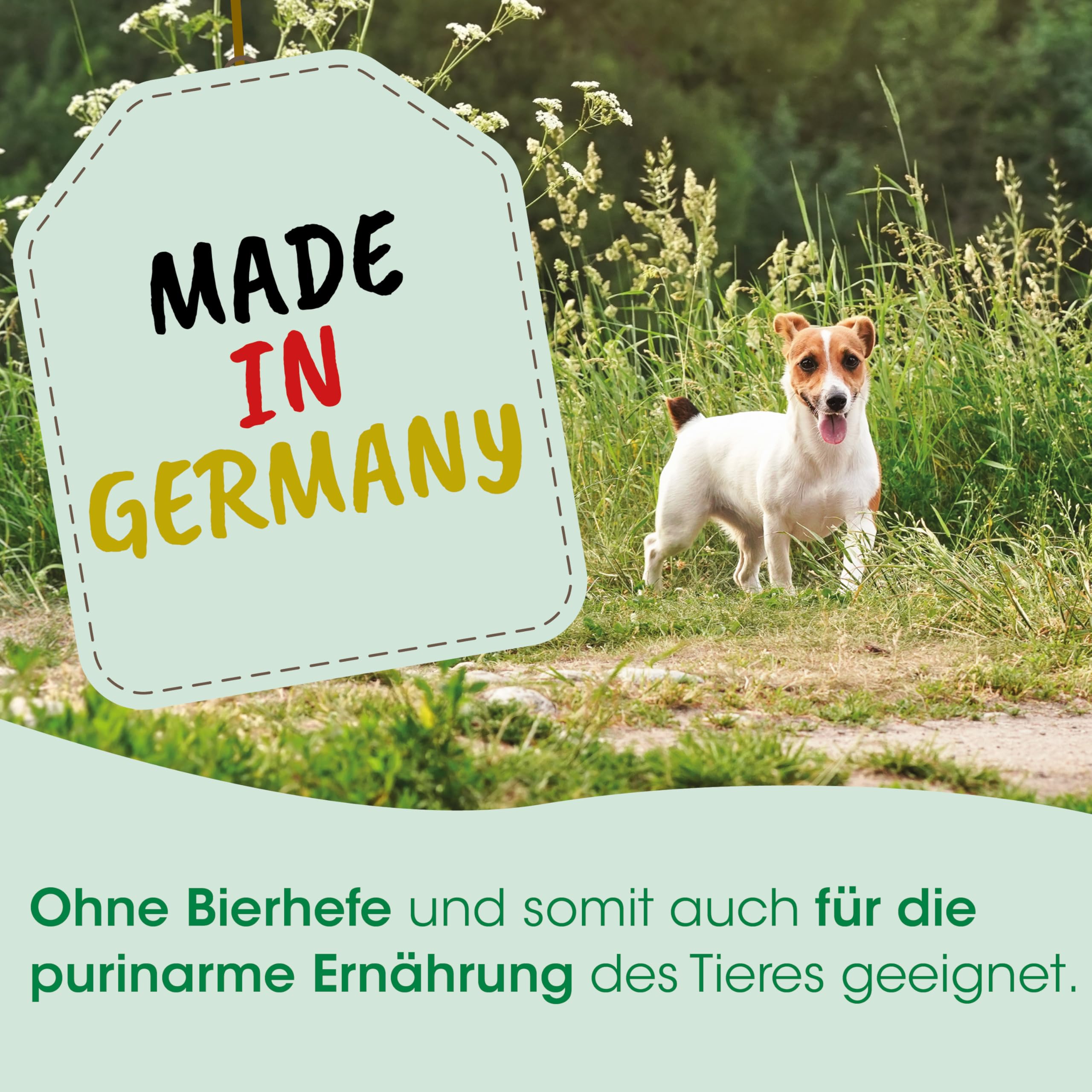 cdVet Naturprodukte MicroMineral Spezial 2,5 kg - Hund, Katze, Pferd - Vitamin- Mineralstoff- und Spurenelementgeber - Magen-Darm Regulation - Eisenquelle - Zellschutz - Muskelaufbau - Vitalität -