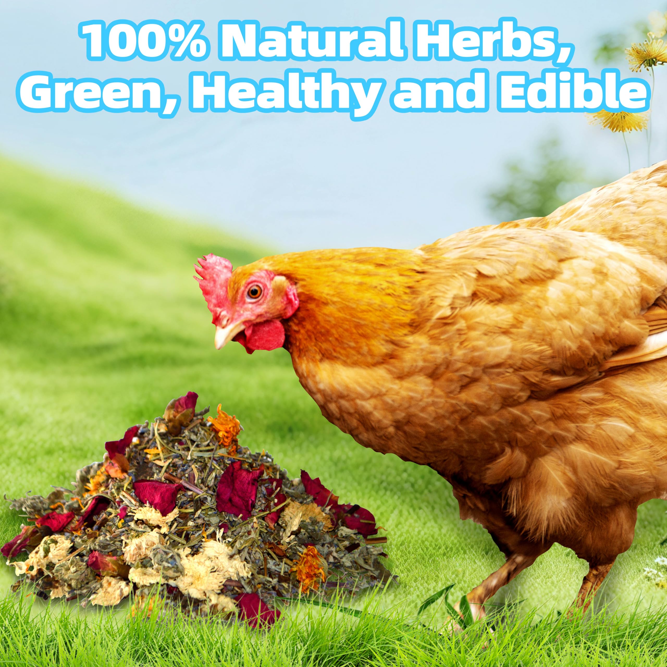 Chicken Feeder, 10 LB Chicken Coop Accessories, Chicken Feeders No