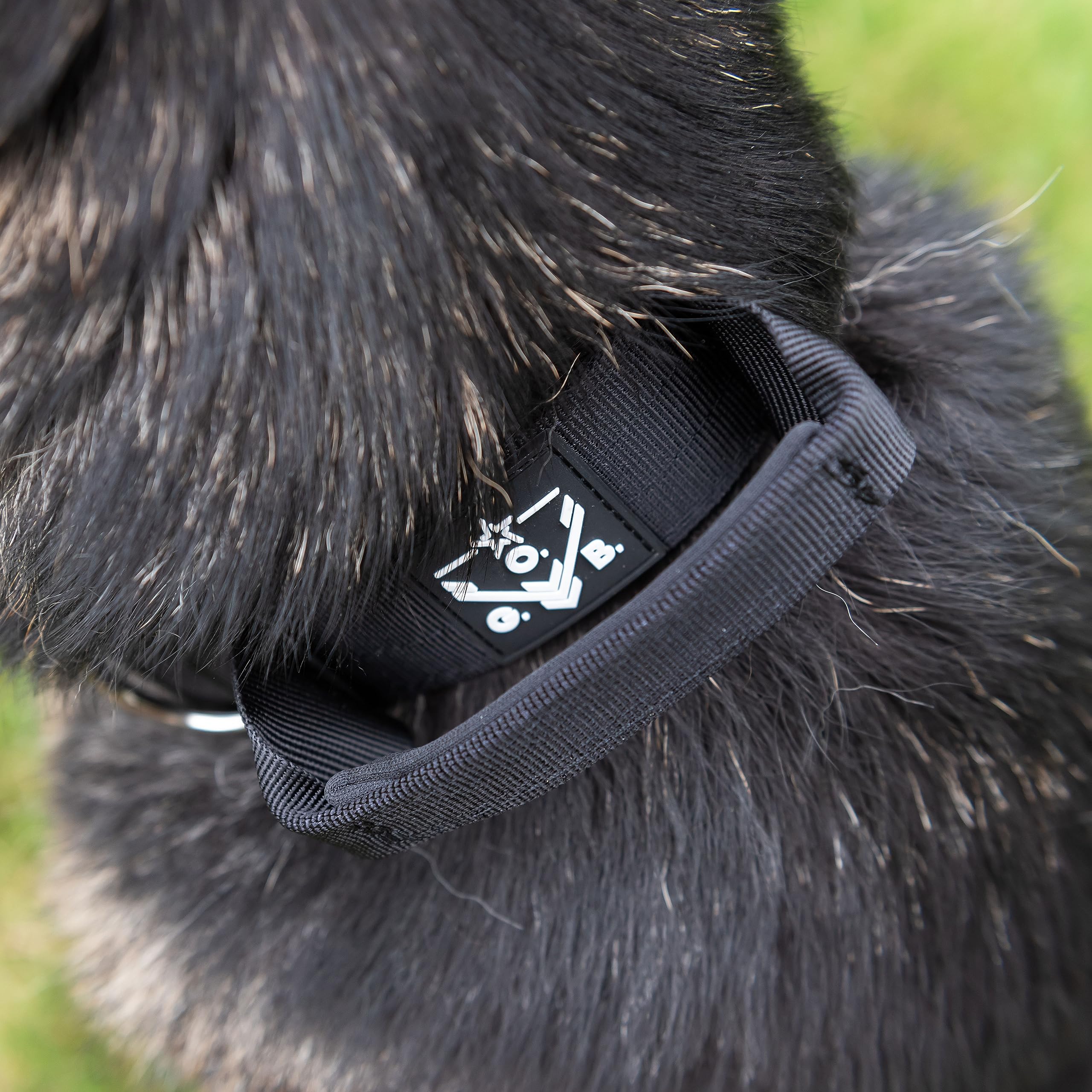 Operation Good Boy Collar táctico (negro) – Duradero y fuerte – Incluye hebilla de liberación rápida y mango de grado militar