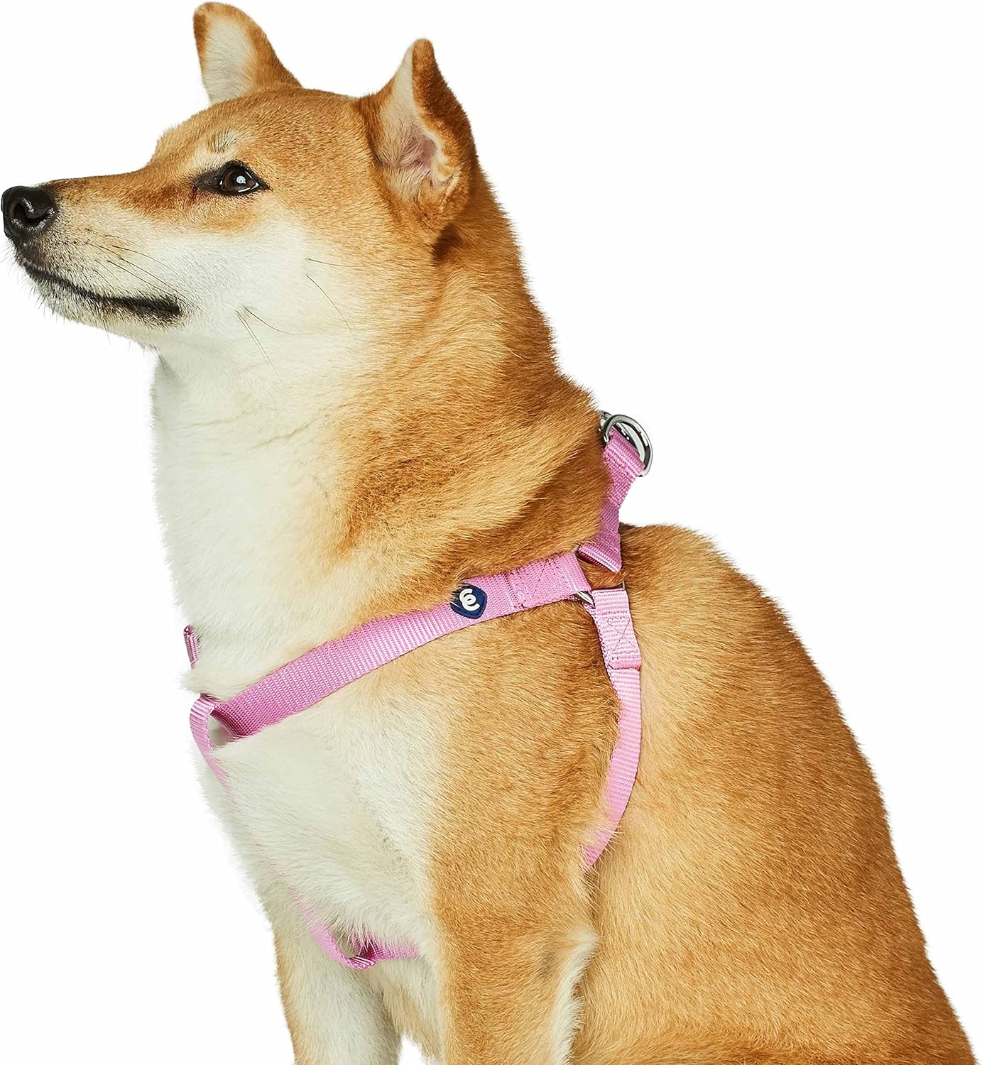 Blueberry Pet Essentials Classic Durable Solid Nylon Step