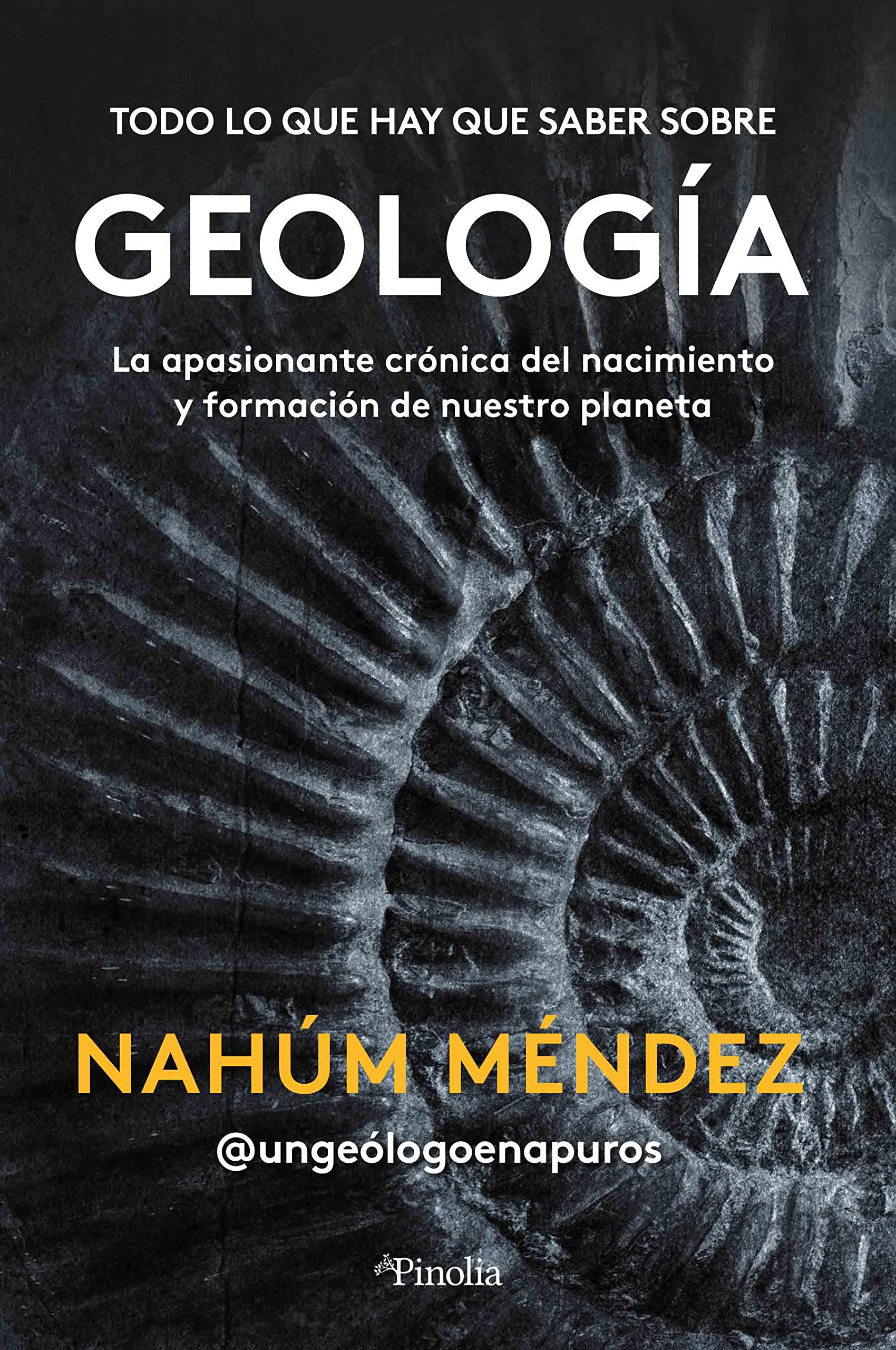 Todo lo que hay que saber sobre geología: La apasionante crónica del nacimiento y formación de nuestro planeta (Manuales prácticos)