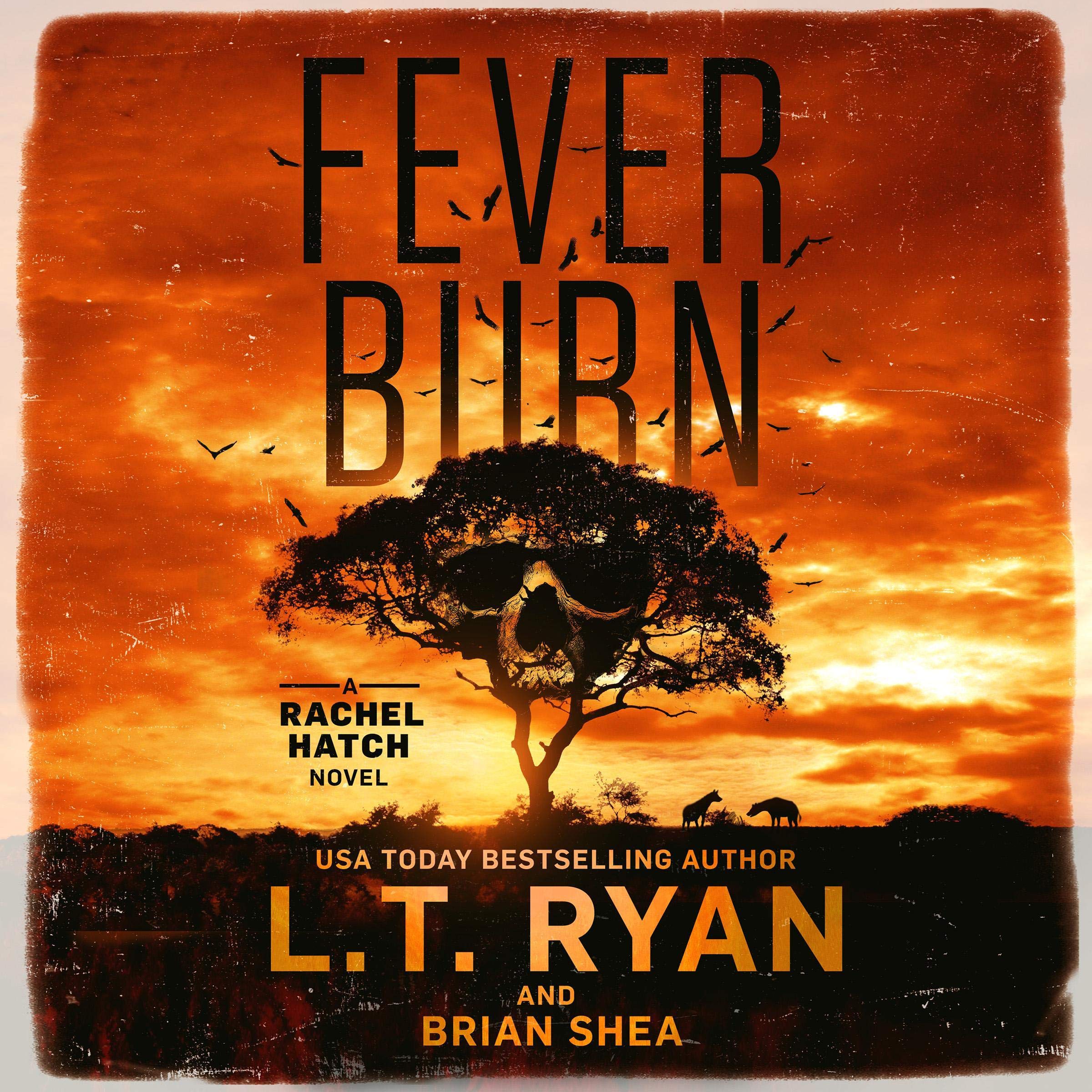 Cover art for Fever Burn