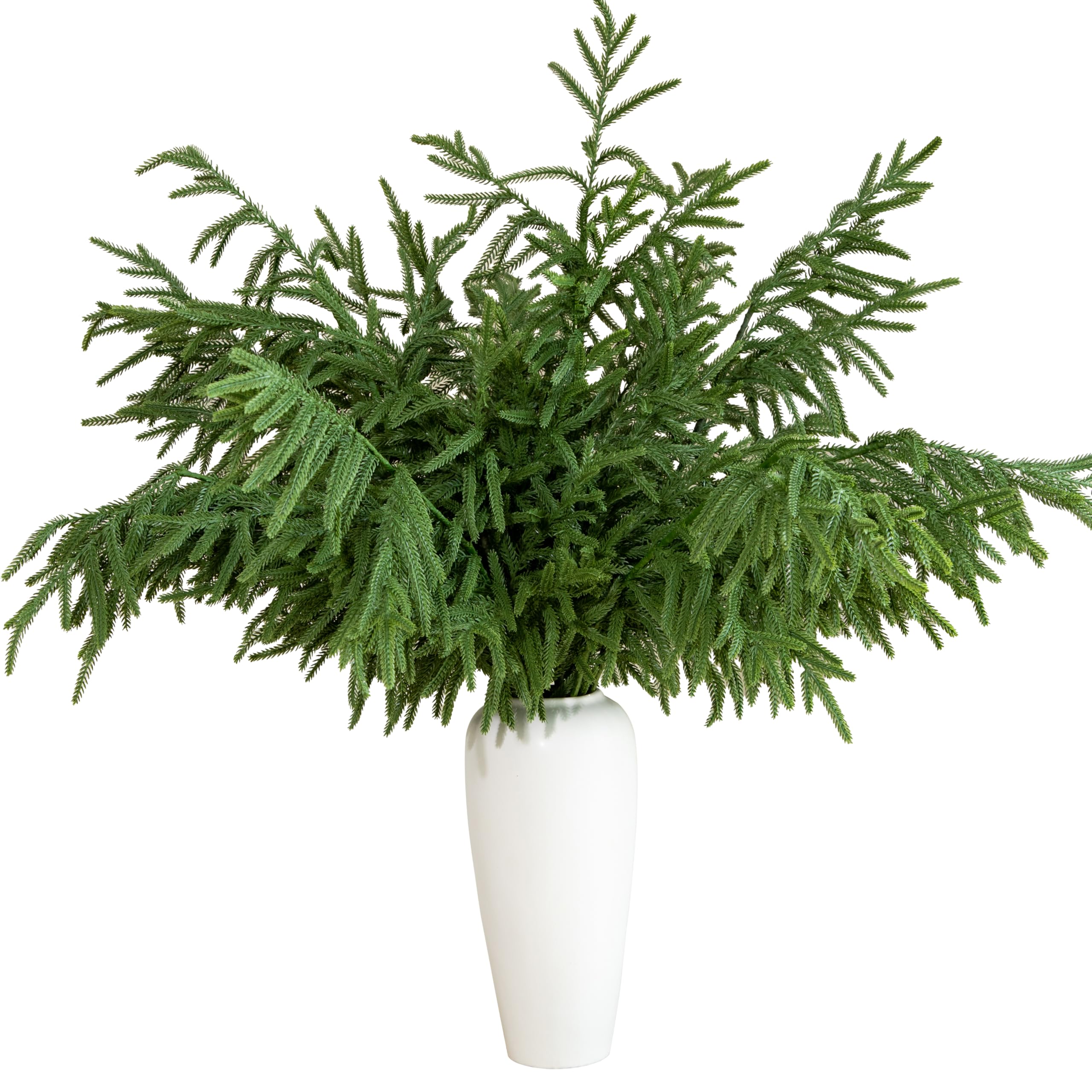 Tasruwat 10-piece 36 inch Norfolk pine stems