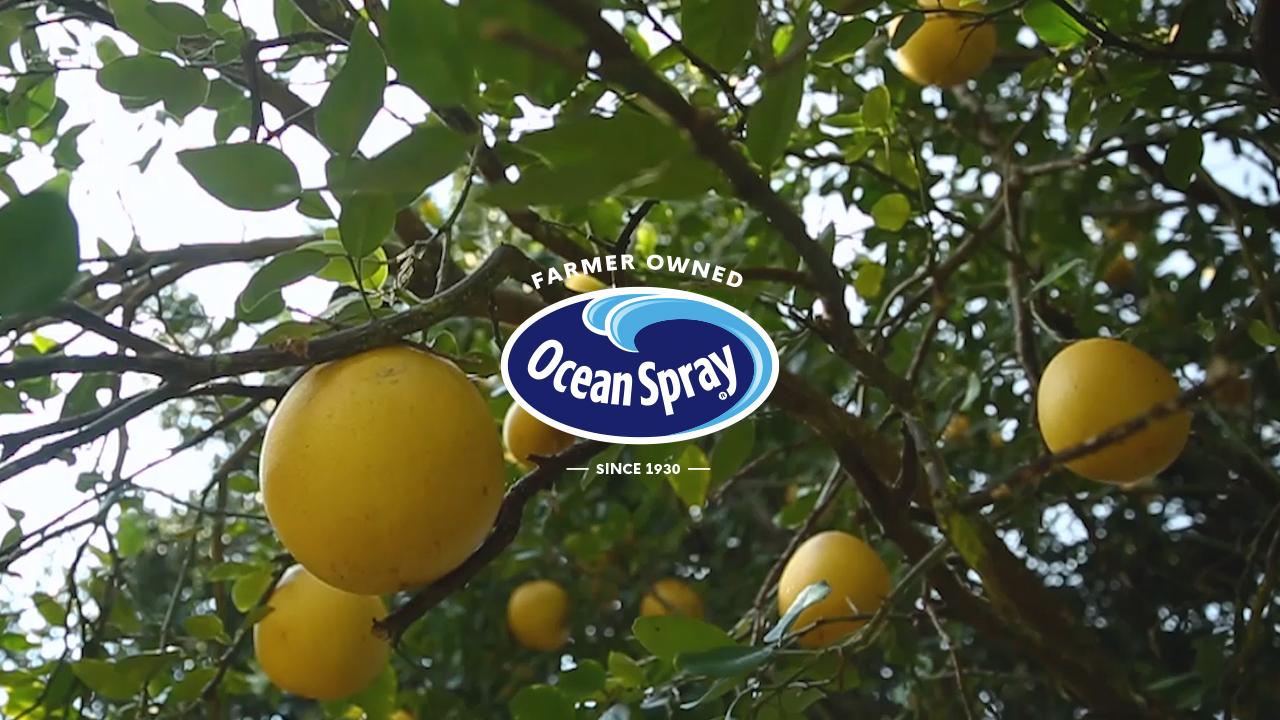 Amazon.com: Ocean Spray Ruby Red Grapefruit Juice, Foodservice