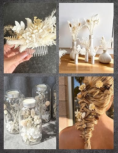 Miniatura 5 de Juego de flores secas naturales, flores secas a granel con tallos, margaritas secas, hierba de cola de conejo seca, mini ramo (blanco)