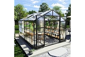 AMERLIFE 12x12 Greenhouse: Cultivate Your Oasis