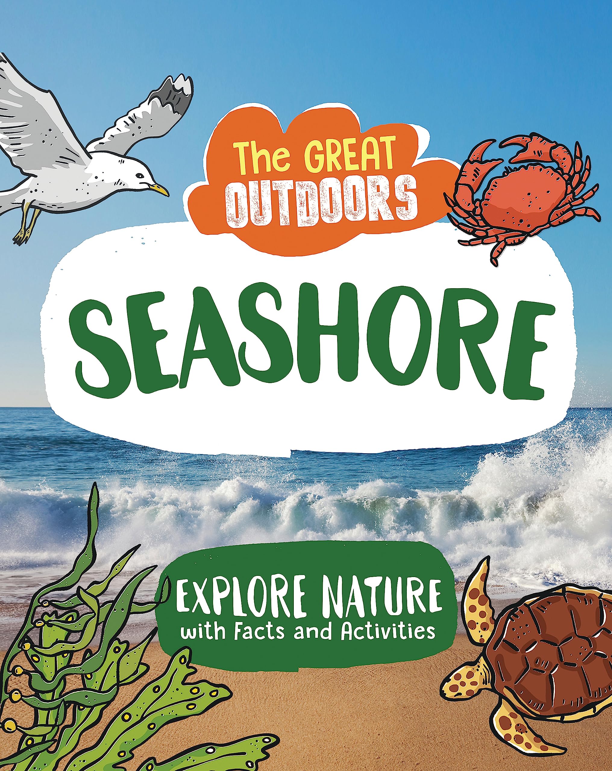 Hachette Children's Group The Great Outdoors: The Seashore : Uncover The Science And Wildlife On The Beach