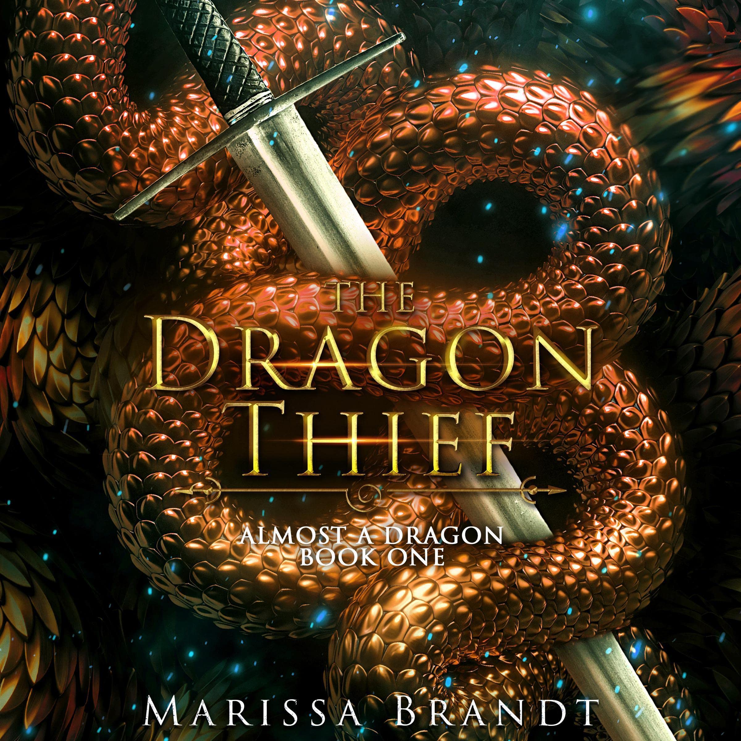 Cover art for The Dragon Thief
