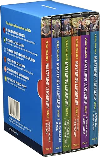 Cesar Millan Mastering Leadership Series Six DVD Box Set for