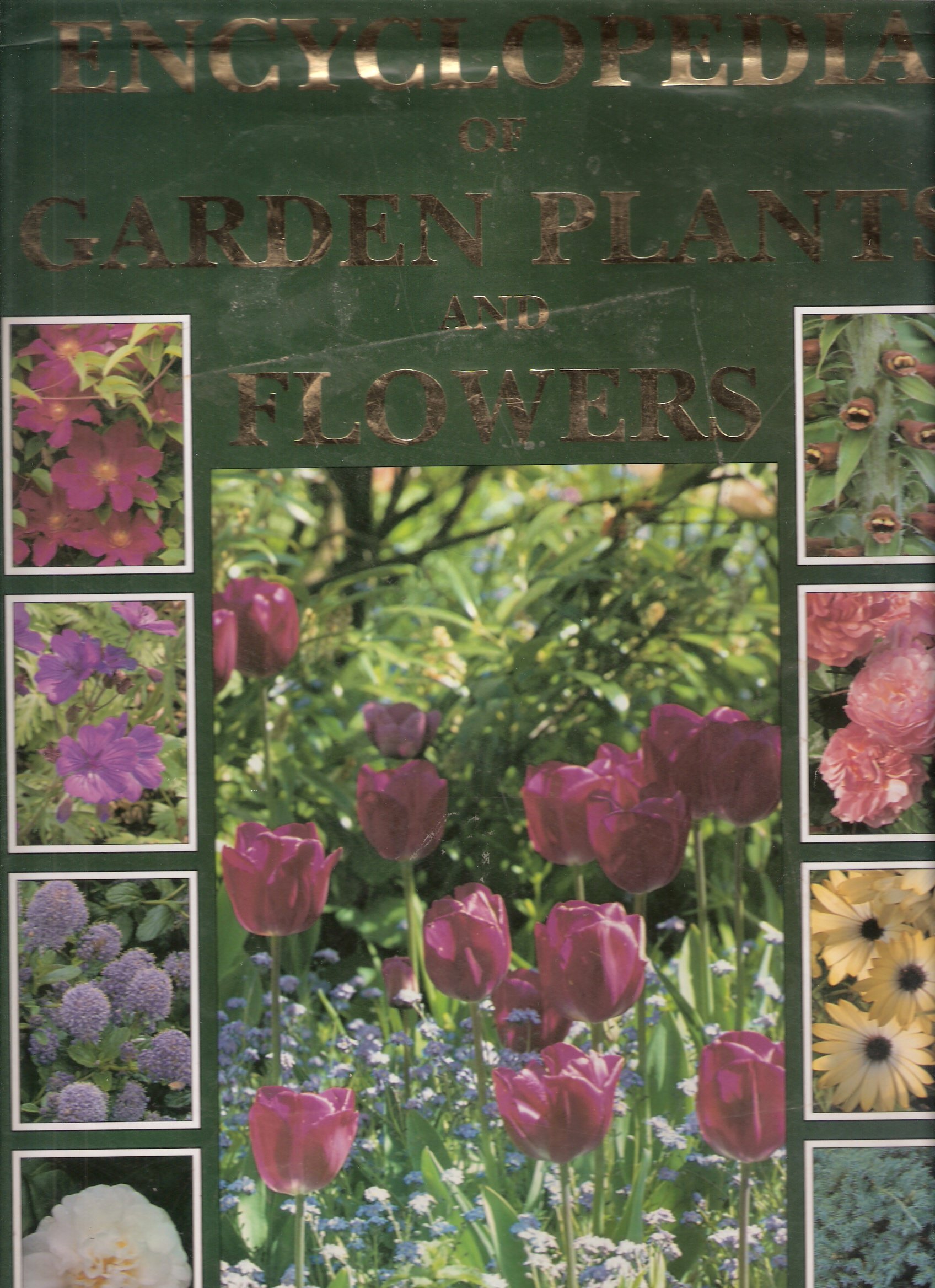 Encyclopaedia of Garden Plants