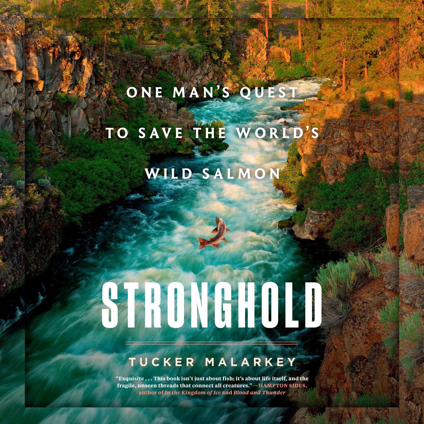 Cover art for Stronghold