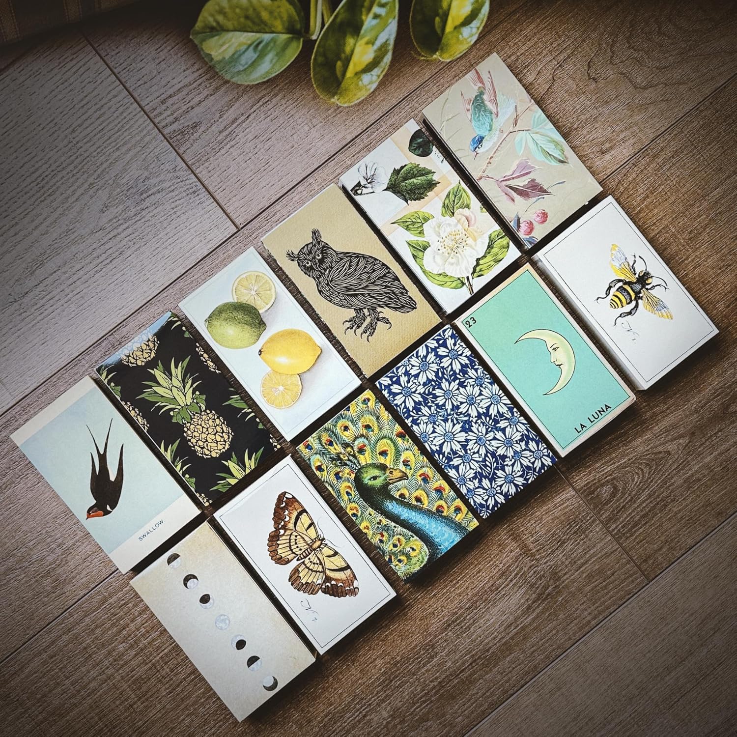 HomArt Matchbox Designs of Your Choice (6 Unique Box Designs with 4" Matches, Striking Stickers by Thankful Greetings) Decorative & Festive for Home Decor, Gifts, Accessories | Long Safety Matches