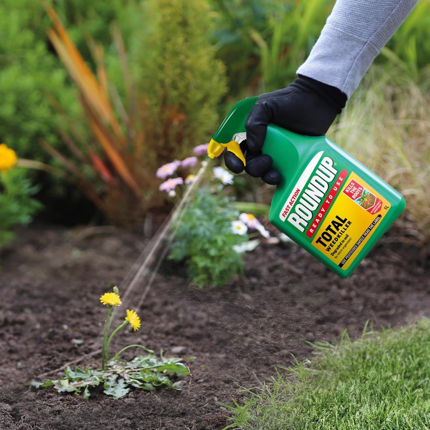 Roundup Total Fast Action Weed Killer, 1 Litre - 3