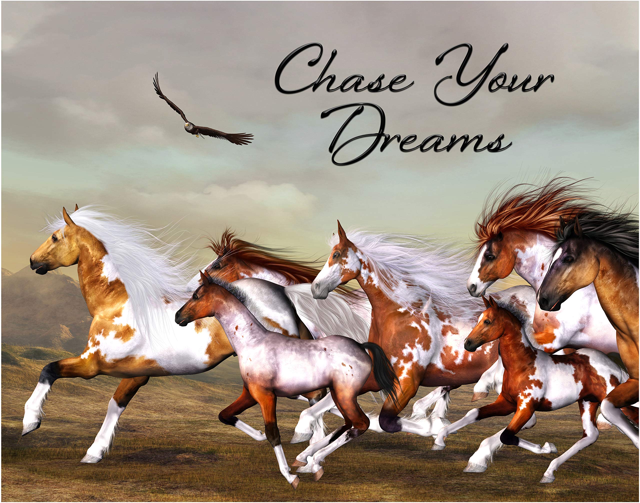 Chase Your Dreams Horse Fine Art Print Decor- Inspirational and Motivational Poster - 11x14 Unframed Wall Photo - Gift for us who Love Horse Breeds and Wild Animals. Classroom or Dorm Decor Under $15