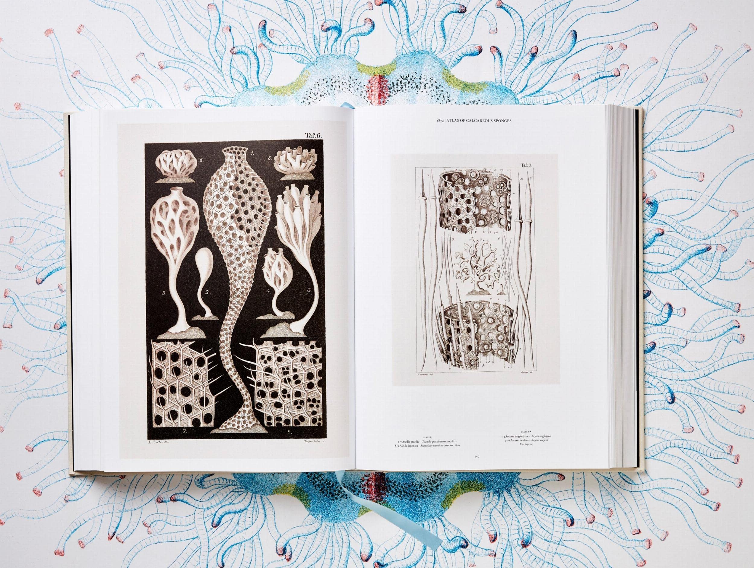 The Art and Science of Ernst Haeckel: The Complete Plates