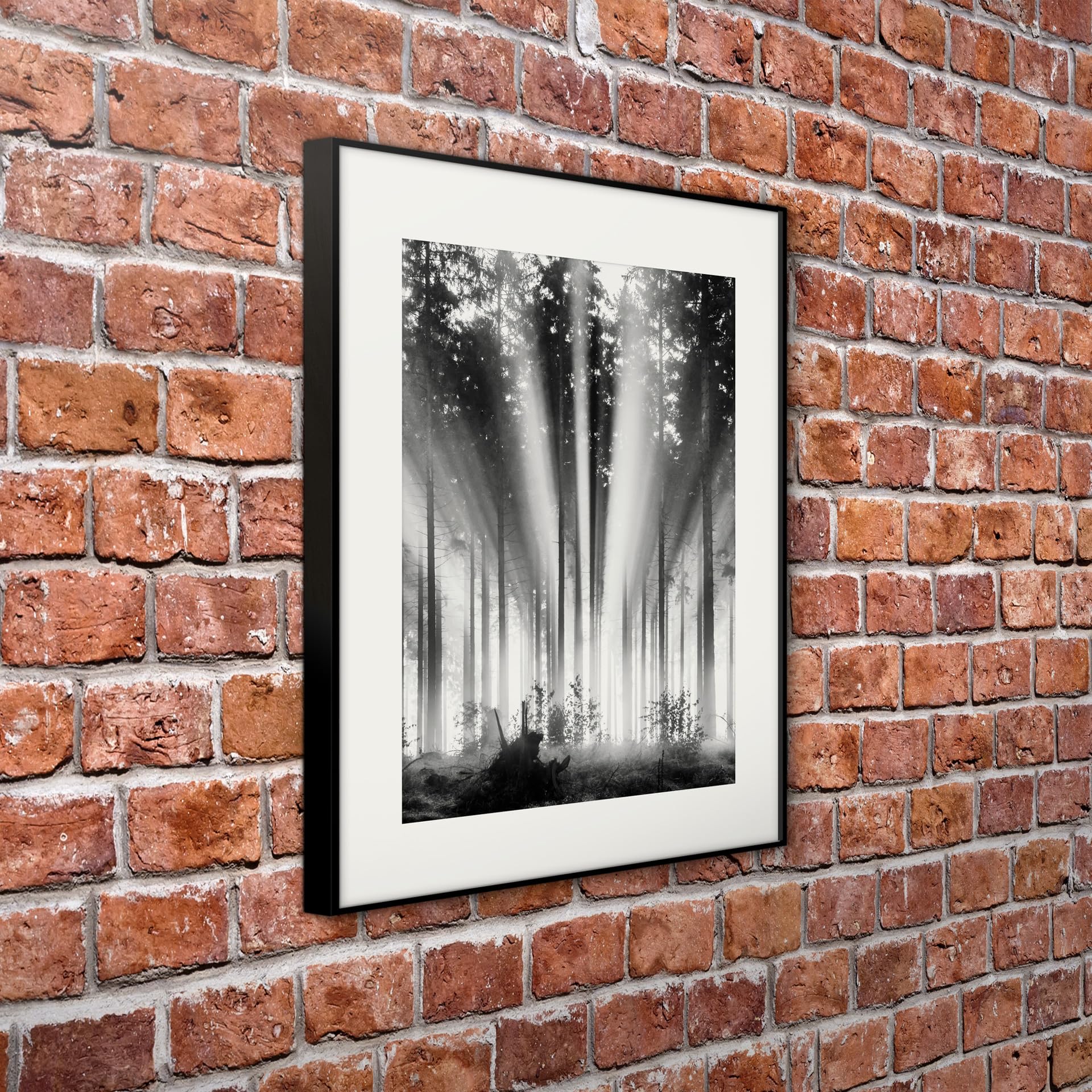 STYLER Rahmenbild Fog and Sun 50 x 70 cm | Artbox Die Schönheit der Natur in einem lichtdurchfluteten Wald schafft mit klassischer Farbgebung eine gemütliche Raumatmosphäre Wohnzimmer schwarzweiß