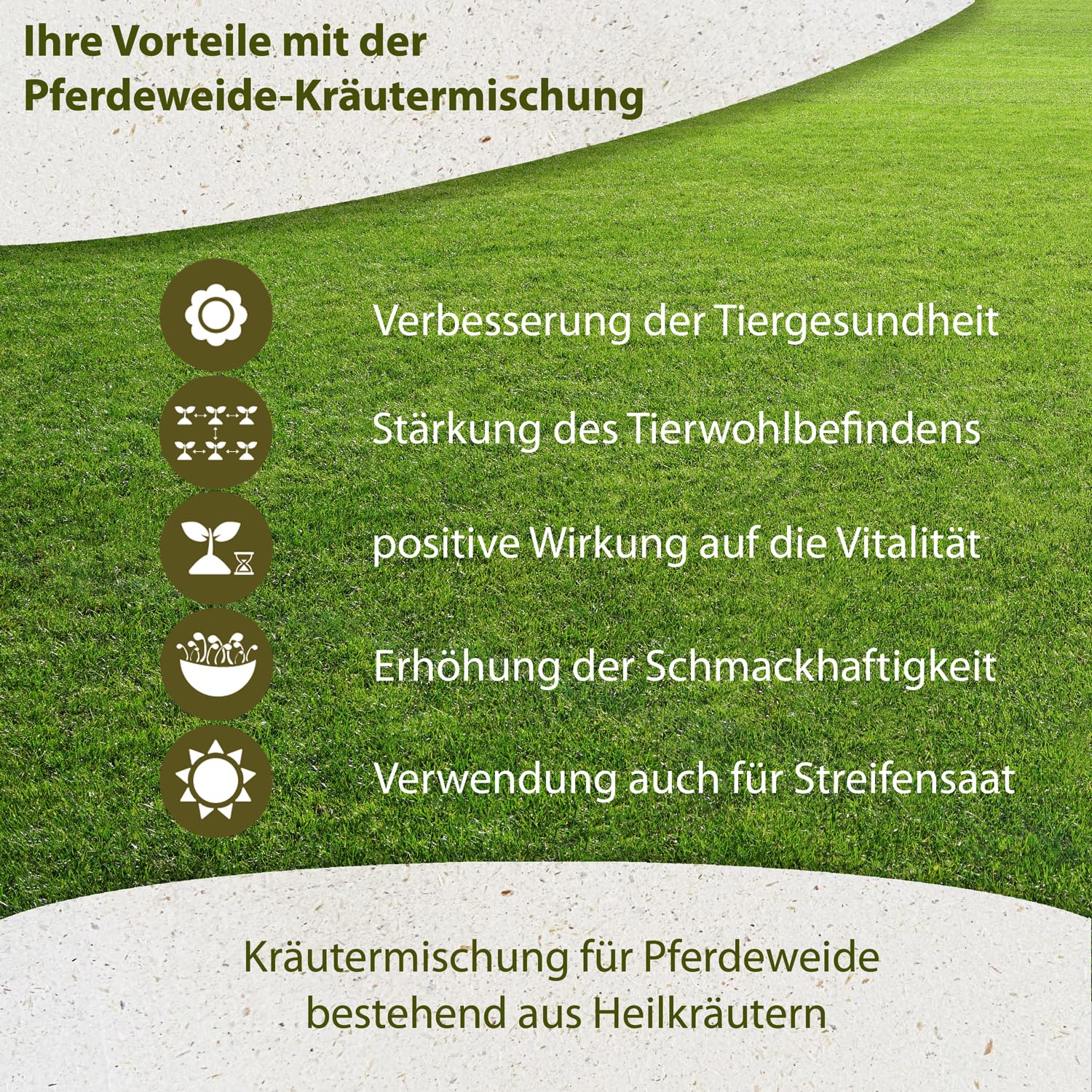 1 kg Kräutermischung für Pferdeweide mit Heilkräutern Pferdewiese Wiesenkräuter Kräutersaat Dauerweide Mähweide