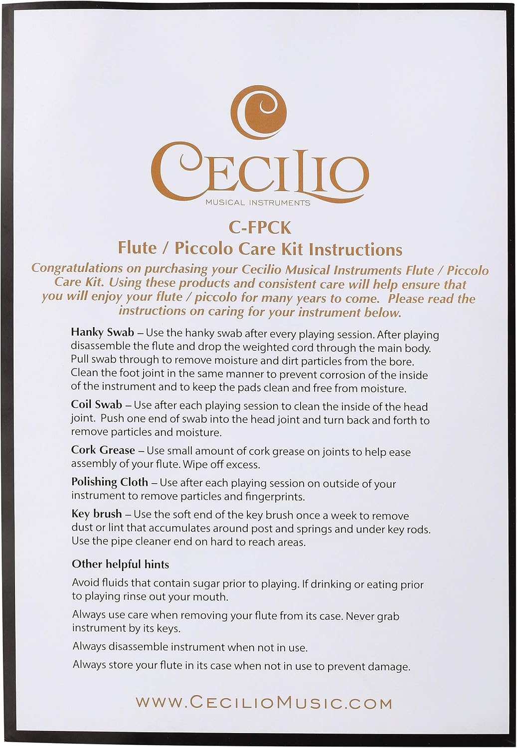 Cecilio Flute or Piccolo Care & Maintenance Kit : Musical Instruments