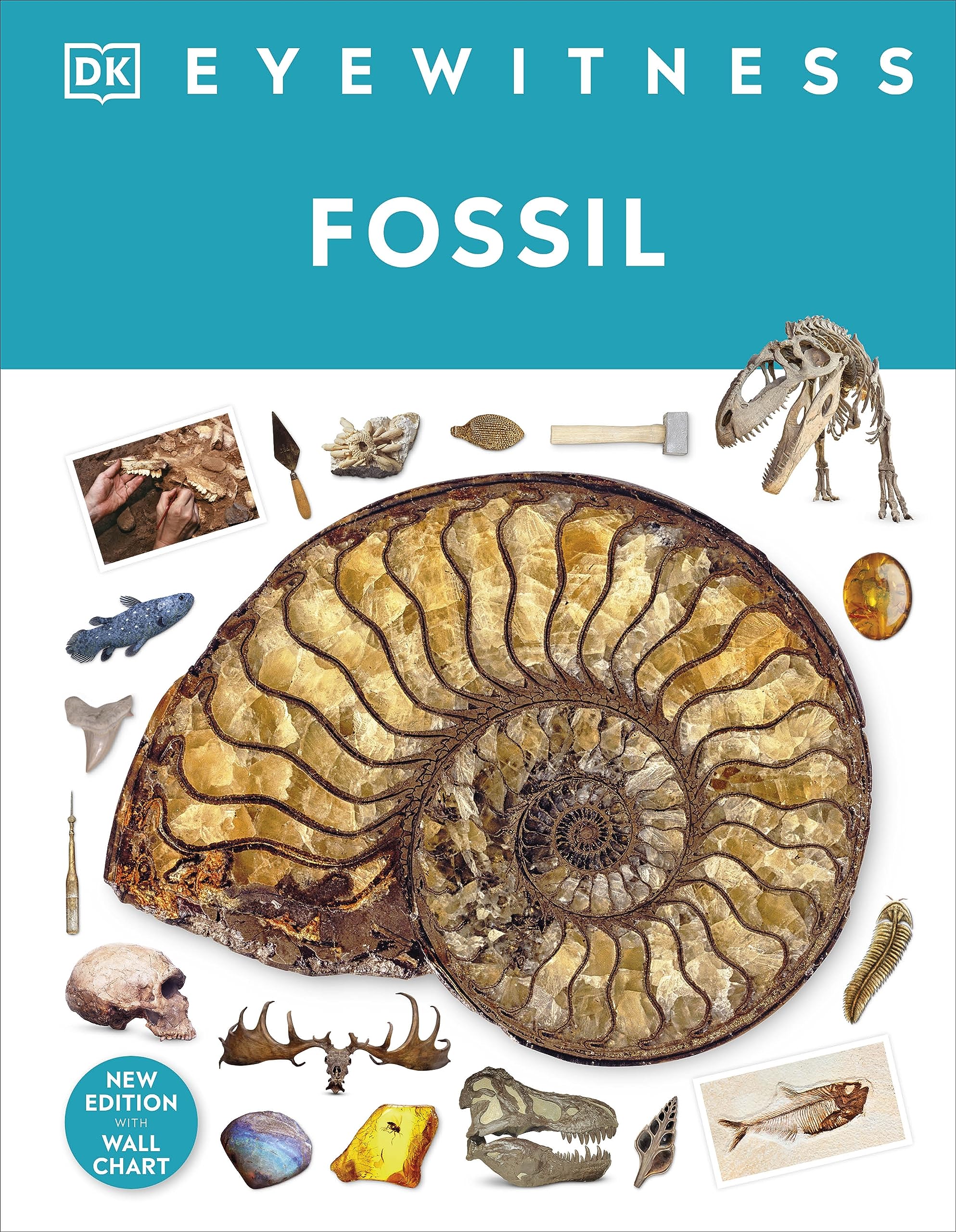 Fossil: DK Eyewitness