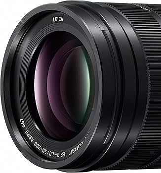 Amazon.com : PANASONIC LUMIX Professional 50-200mm Camera Lens, G