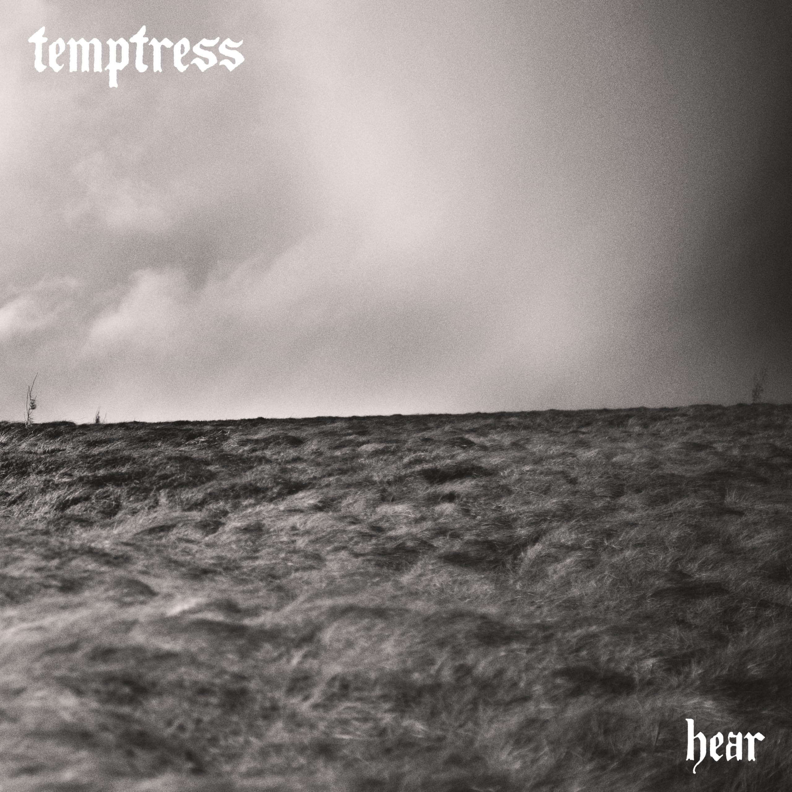 HEAR (SEPIA, CLEAR & BLACK MARBLED VINYL) [VINYL]