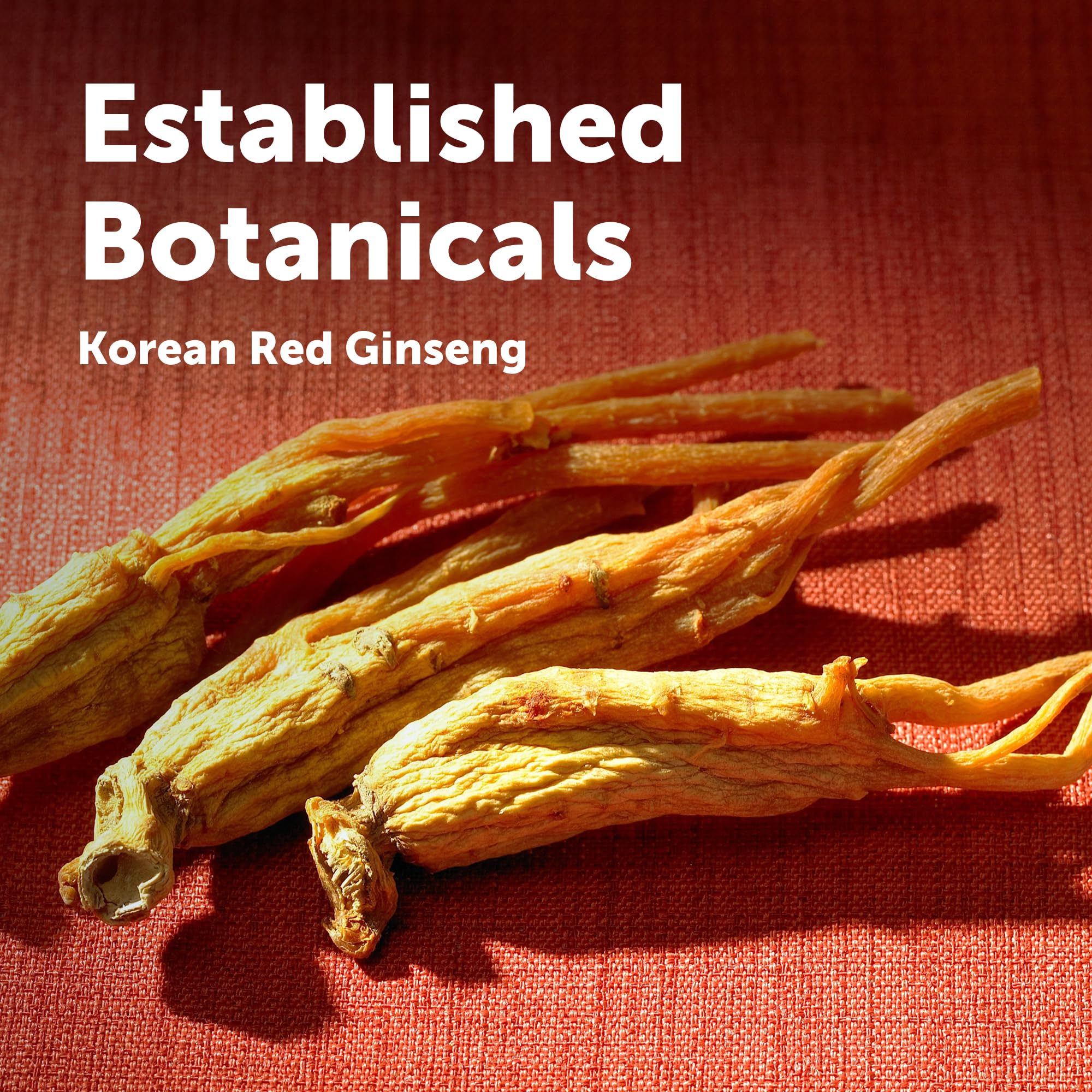 Amazon.com: Micro Ingredients Red Panax Ginseng Supplement, 8