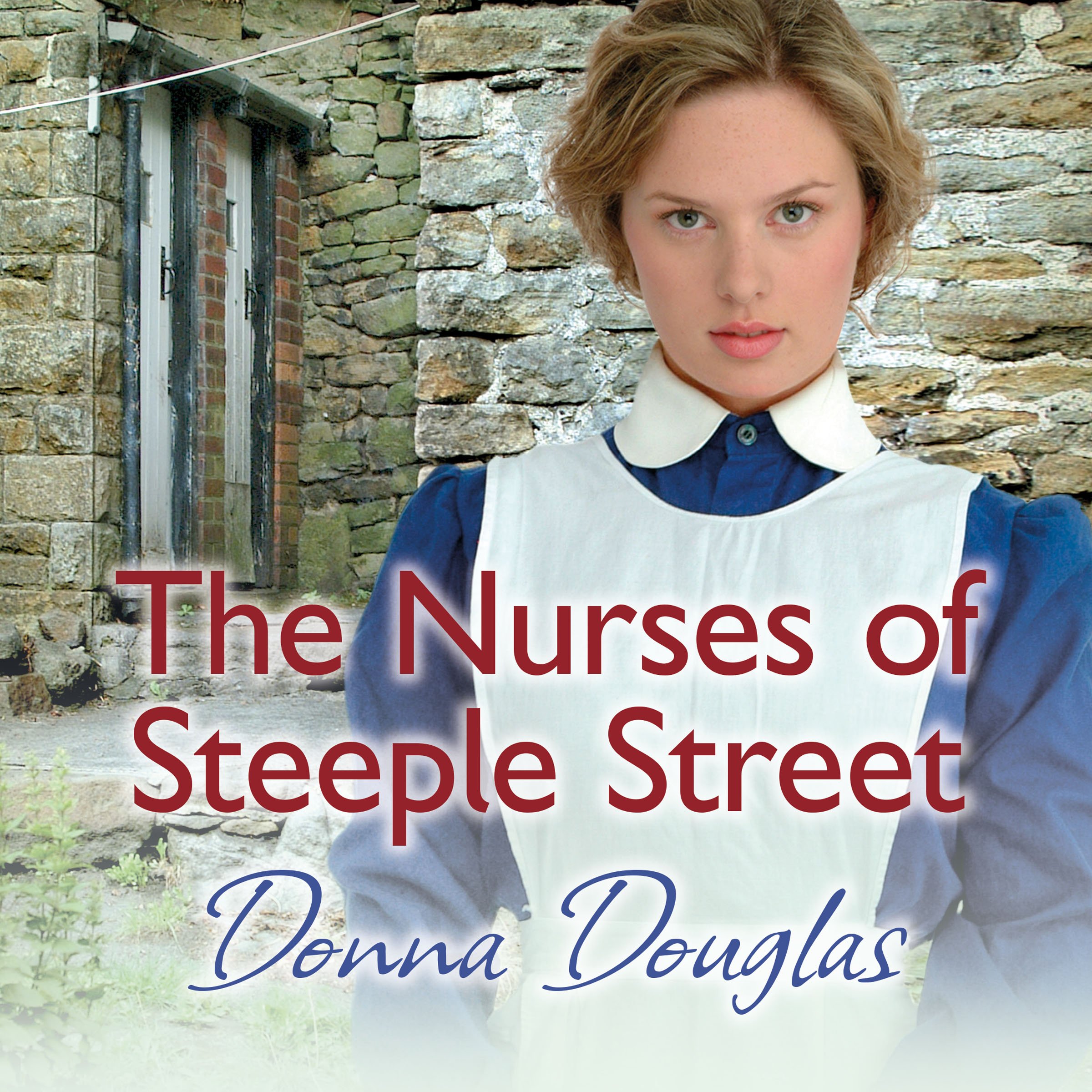 Cover art for The Nurses of Steeple Street