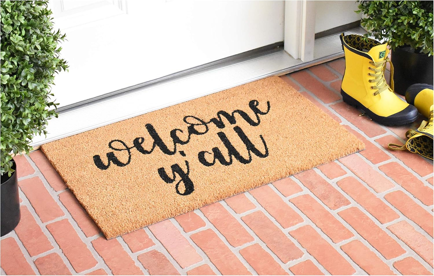 Calloway Mills AZ106041729 Southern Hospitality Doormat, 17" x 29", Natural/Black
