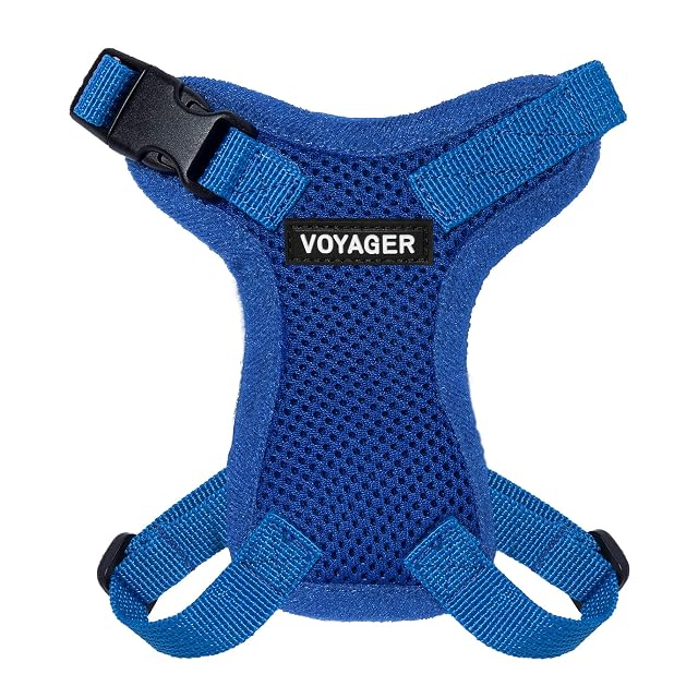 Voyager Step-in Lock - Arnés Ajustable para Gatos Conjunto de Correa para Gatos con Mango de Neopreno de 1,5…