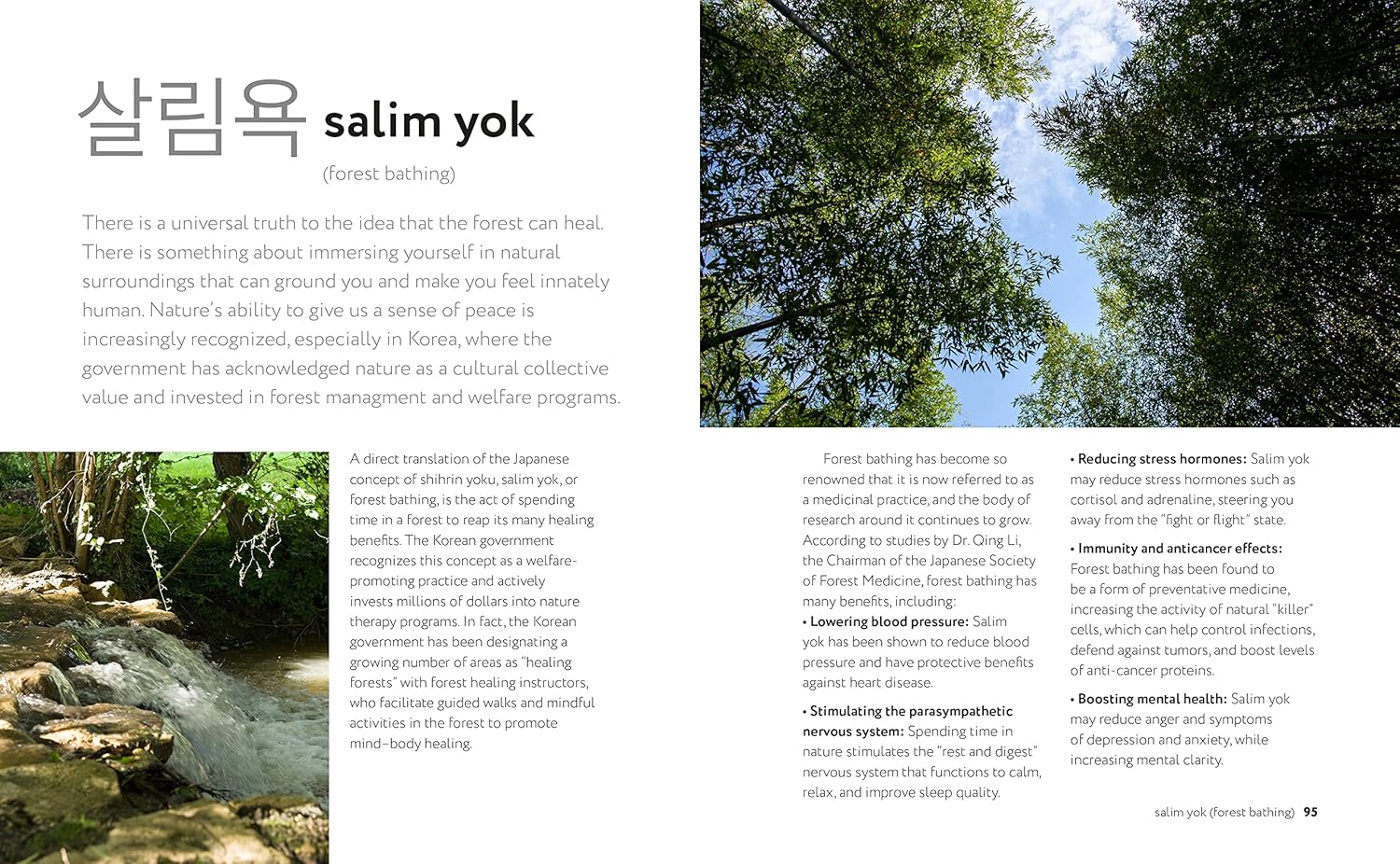 Transform Your Well-Being: A Deep Dive into