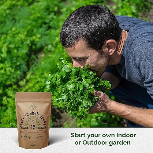 Miniatura 7 de Paquete variado de 12 semillas microverdes de hierbas y berros fáciles de cultivar, paquete variado de semillas de reliquia sin OMG para plantar en