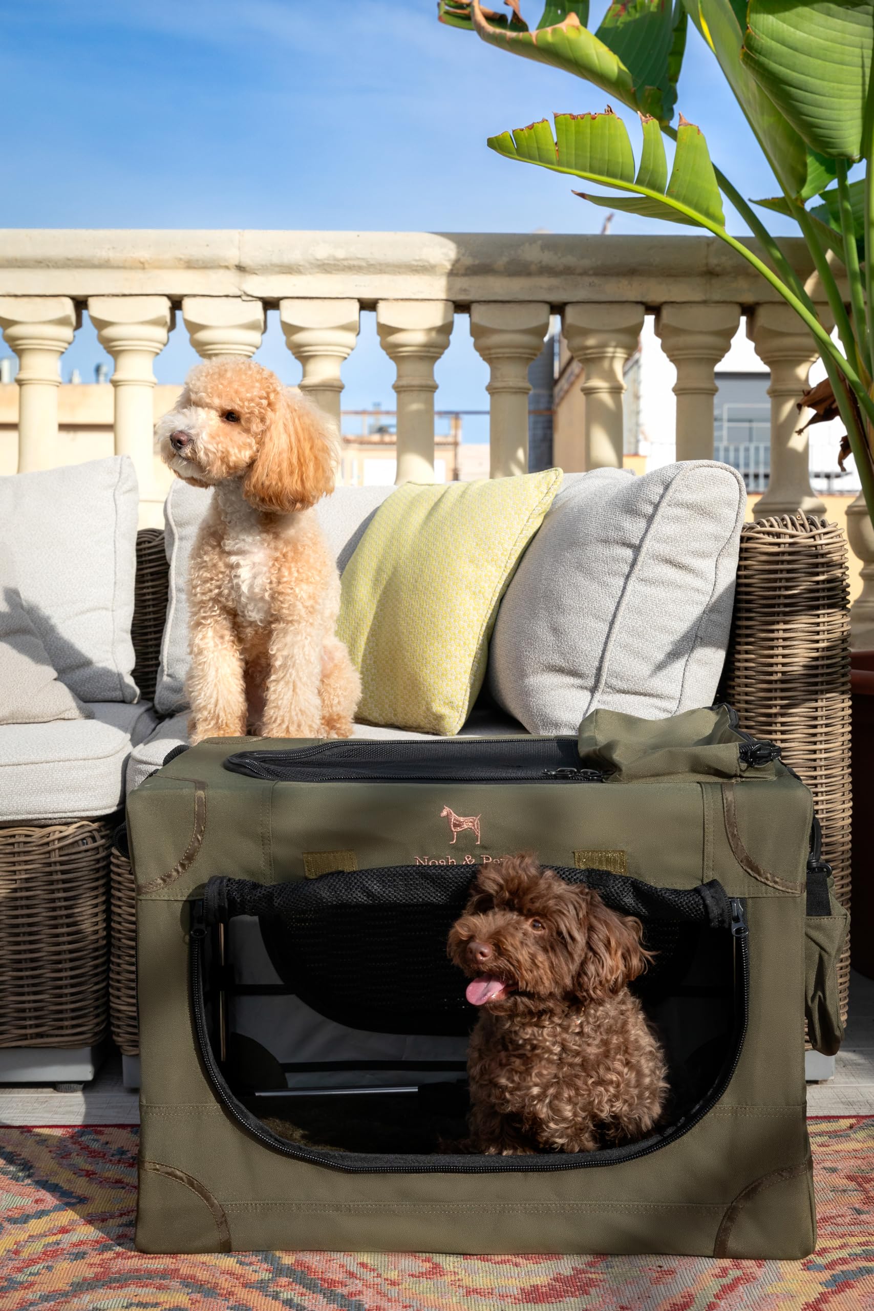 Noah & Paw Faltbare Hundebox 26 Zoll, kleine Hundebox für kleine bis mittelgroße Rassen, Transportbox fürs Auto, inklusive Hundematte, 2 Aufbewahrungstaschen, Tragetasche